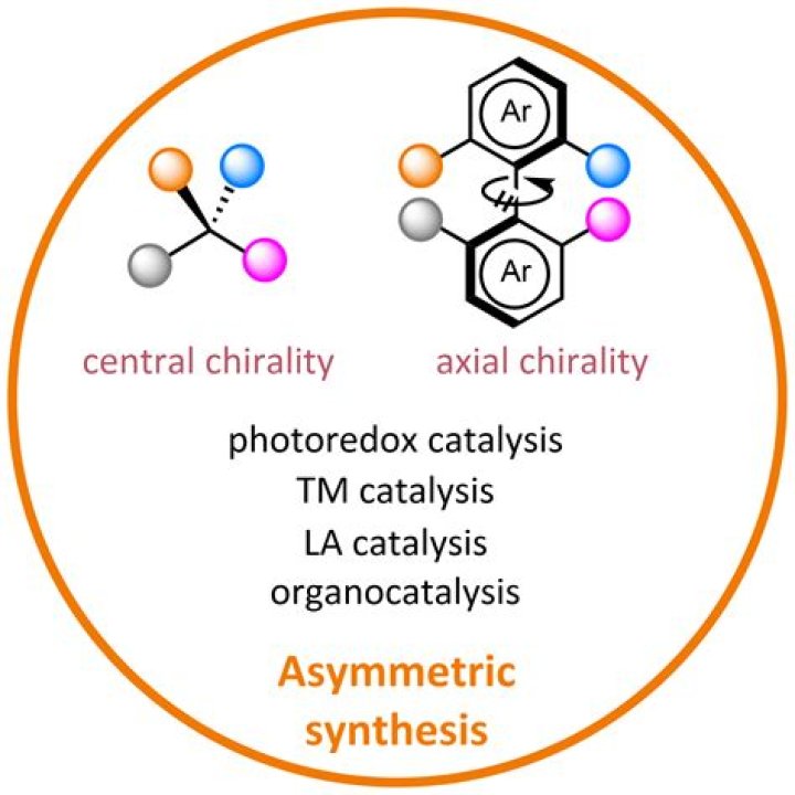 A Comprehensive Guide To Sasha Roiz's Relationships