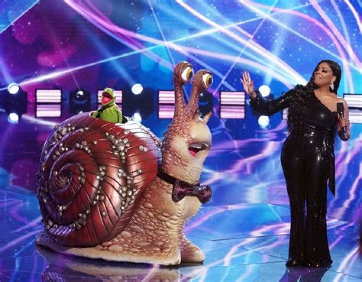 All the Masked Singers Revealed So Far in 'The Masked Singer' Season 5