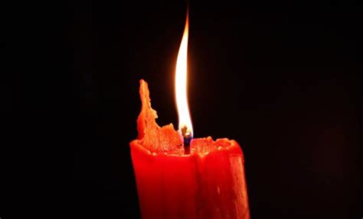 CNN Melissa Elkas Obituary And Death Cause Linked To Medical Emergency