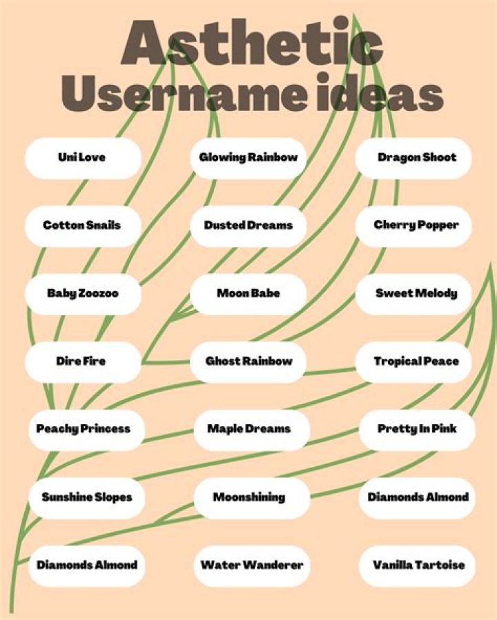 Creative And Catchy Snap Name Ideas: Generate Your Unique Handle
