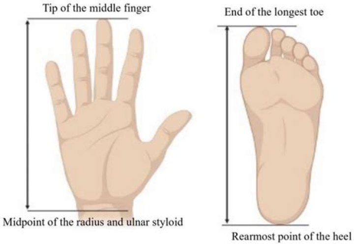 Discover SZA's Stature: Height Revealed In Feet