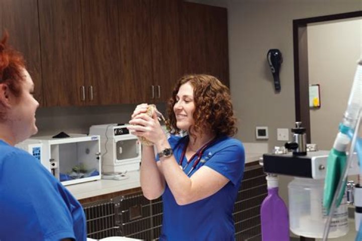 Dr Lauren Thielen Veterinarian, Bio, Wiki, Age, Height, Fiance, and Net Worth
