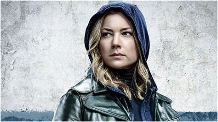 Emily VanCamp Reveals Her Thoughts on Fan Theories about Sharon Carter in 'The Falcon and the Winter Soldier'