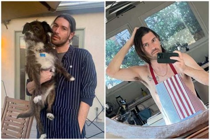 Hadley Klein’s biography: who is Taissa Farmiga’s spouse?