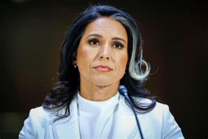 How Old And Tall Is Tulsi Gabbard? Age And Height Explored