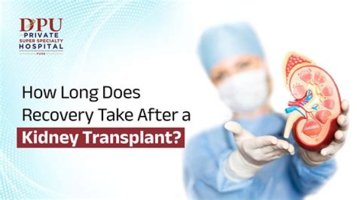 Kidney Transplant Scars: Causes, Treatment Options, And Prevention