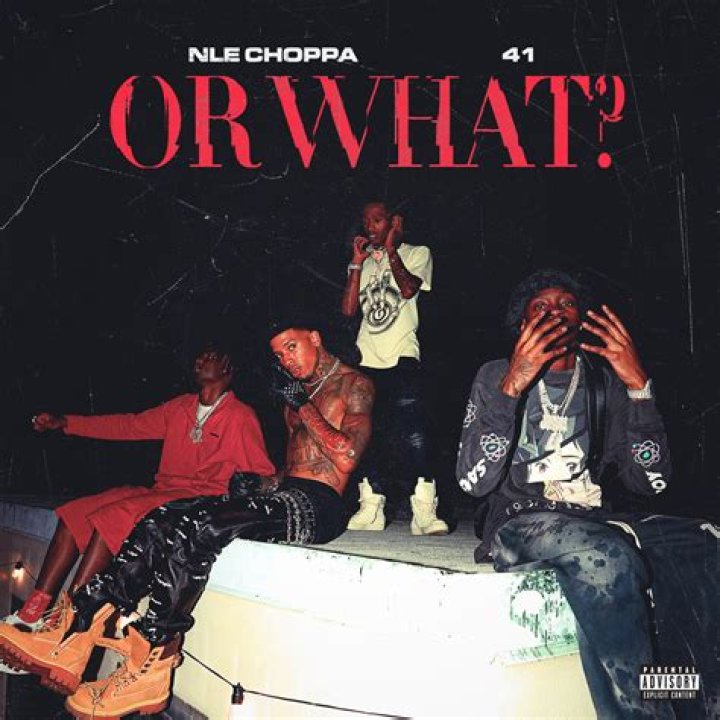 Nle Choppa's Questions | Popnable
