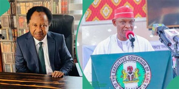 Shehu Sani Reacts As Kano Gov Yusuf Declares Emergency on Education: “Ganduje, Others Failed”