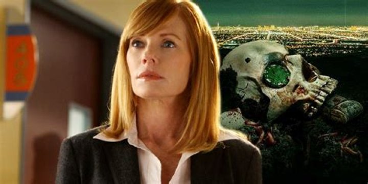 Surprising Fortune Of The CSI Star