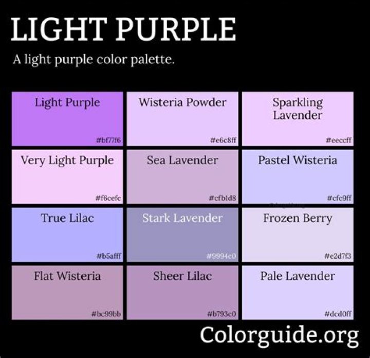The Allure Of Purple Light