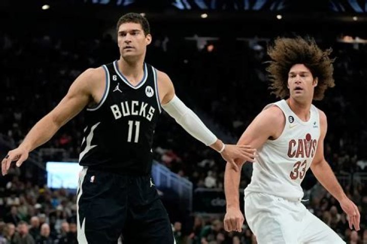 The Dynamic Duo: Robin And Brook Lopez Dominate The NBA Courts