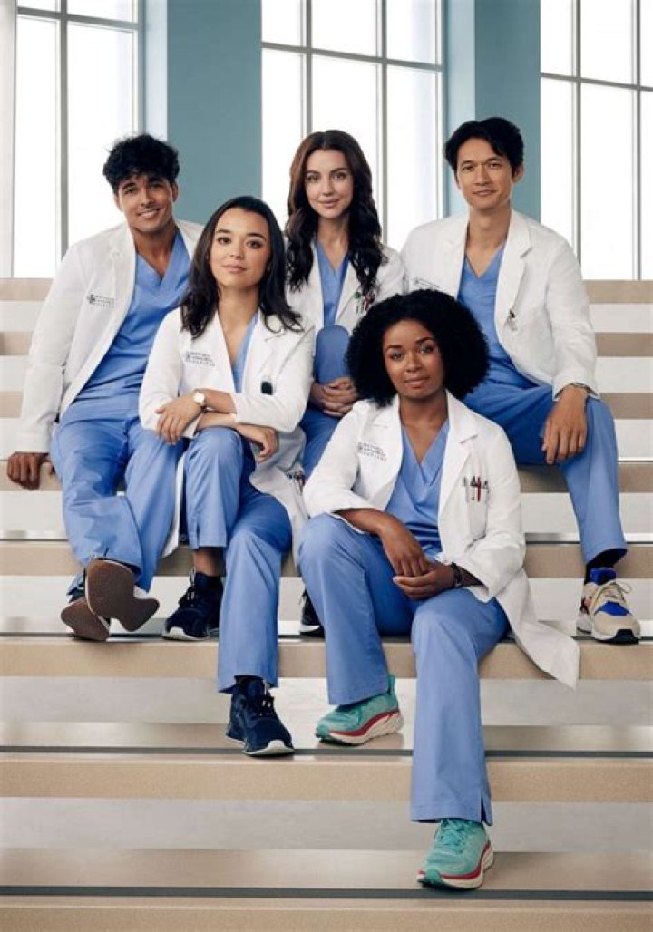 The Incredible Dr. Miranda Bailey: A Journey In Grey's Anatomy