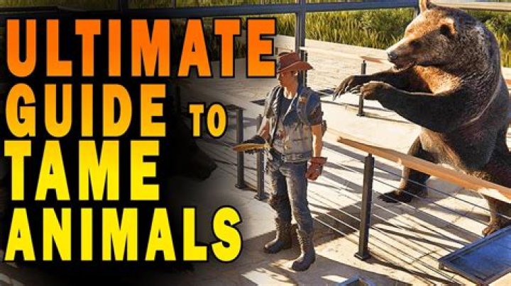 The Ultimate Guide To Tame Your "All Yours Amelia"