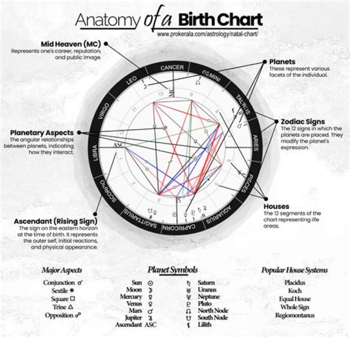 The Ultimate Guide To Your Natal Birth Chart