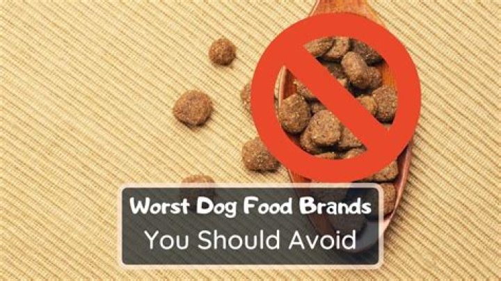 The Worst Dog Food Brands In The Industry