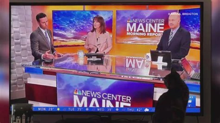 Todd Gutner News Center Maine, Bio, Wiki, Age, Wife, Weather, Salary, and Net Worth