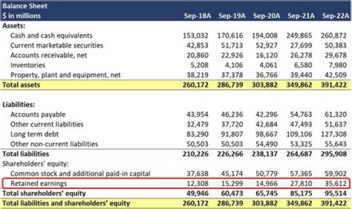 Tony Willrich's Net Worth And Earnings In 2024