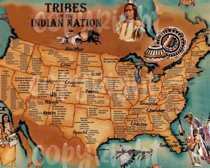 Tribe by No Savage from USA