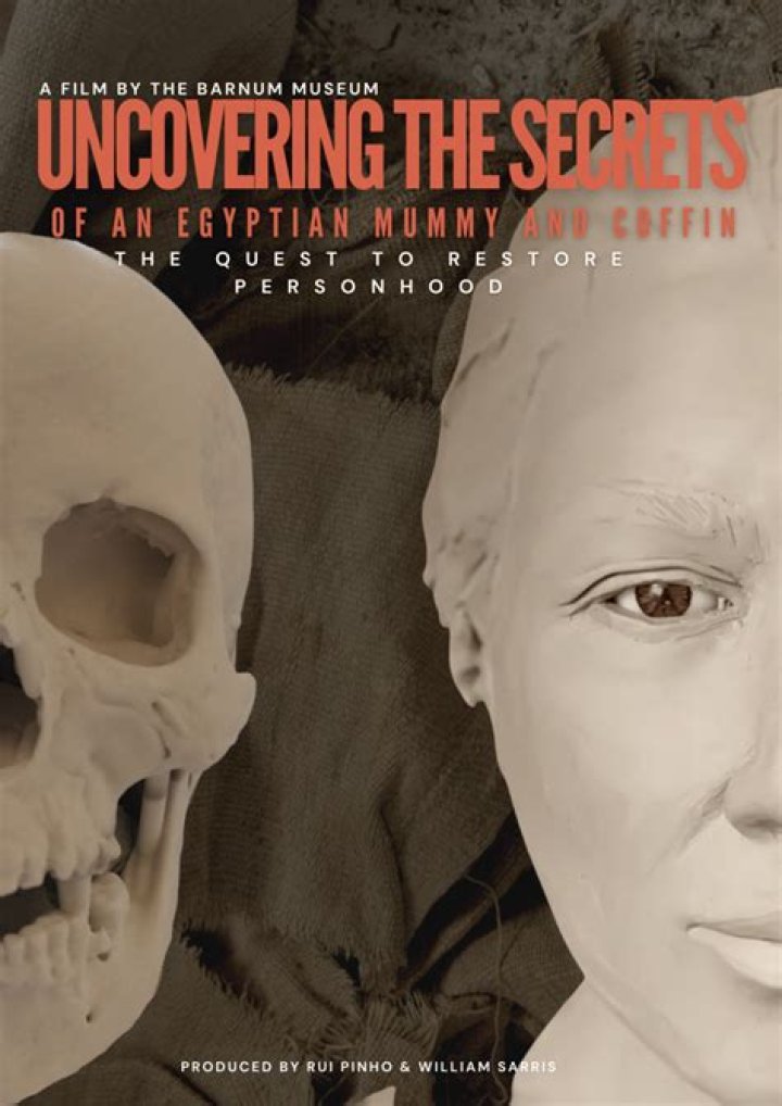 Uncovering The Secrets And Insights