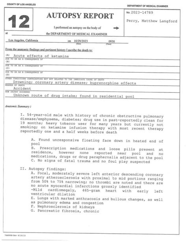 Uncovering The Truth: Aubrey Wyatt's Autopsy Report Explained