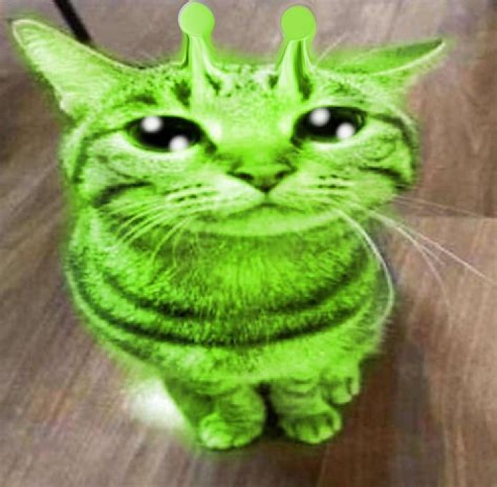 Unmasking The Enigma: Narpy's Face Unveiled