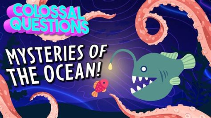 Unveiling The Secrets Of Miranda Lambert's Musical Journey: An In-Depth Wiki Exploration