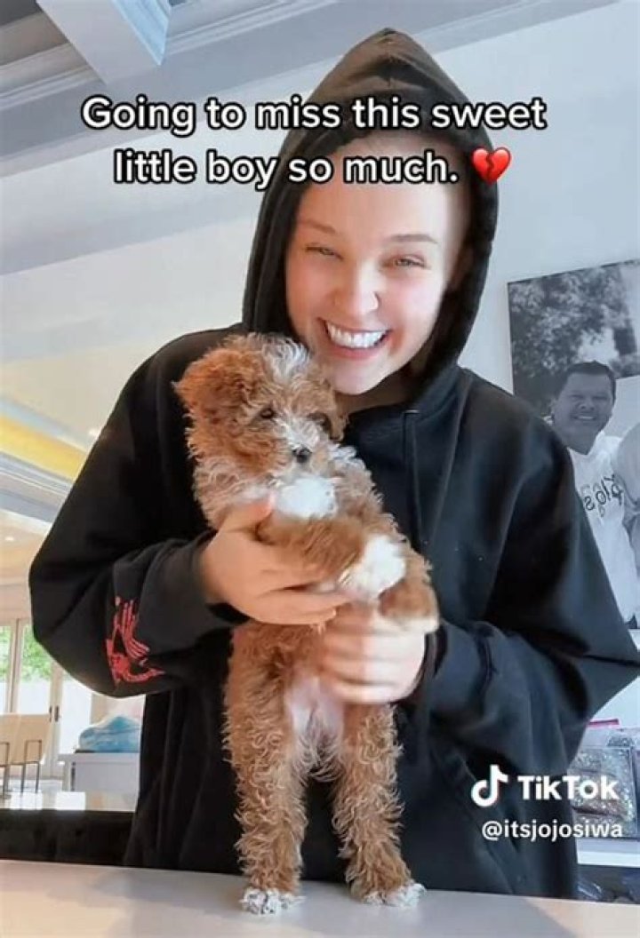 What We Discovered About "Has JoJo Siwa Died"