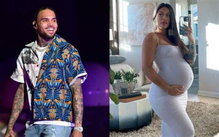 Who's Who: Chris Brown's Baby Mama Drama